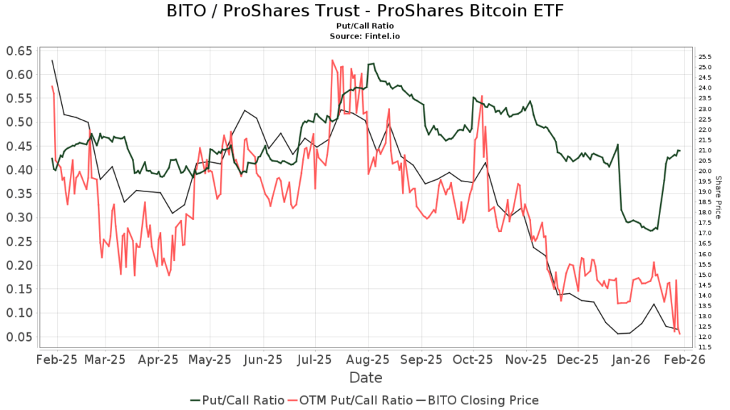 Bitcoin options market data showing rising interest in downside protection.